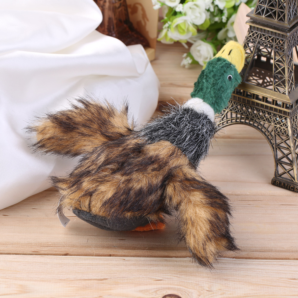 designer toy dogs